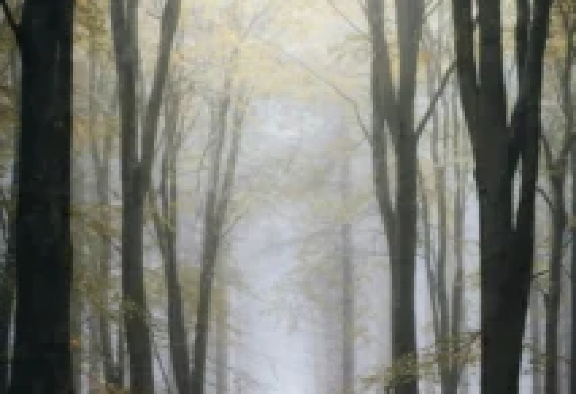 james-kelly-smith-D2KCi3AzRQ8-unsplash